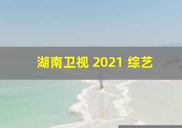 湖南卫视 2021 综艺